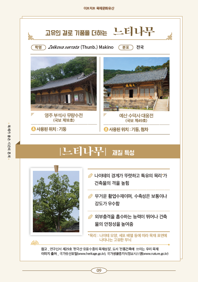 내지 목재문화유산 속 느티나무 /자료제공=국립산림과학원