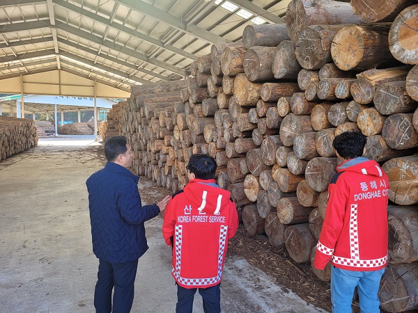 삼척시·동해시 소나무류 취급 업체 단속 현장 /사진제공=동부지방산림청