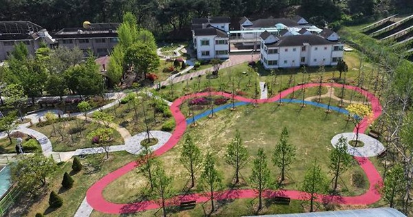 안동시가 조성한 나눔숲 전경  /사진제공=안동시