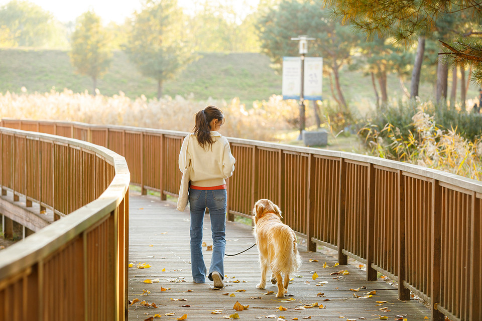 반려동물과 함께하는 친환경 생활은 손쉽게 선택할 수 있는 용품 변화, 생활 방식 조정, 올바른 배출 습관만으로도 충분히 환경에 긍정적인 변화를 만들 수 있다. /사진=환경일보DB