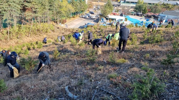 안산시는 숲가꾸기 기간 맞아 백운공원서 비료시비 행사를 진행했다 /사진제공=안산시