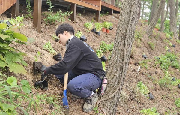 수목원전문가 교육과정 참여 교육생이 전시원을 조성하고 있다. /사진제공=산림청