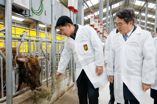 배정수 의장과 김동연 경기도지사의 현장 견학 모습. /사진제공=화성특례시의회